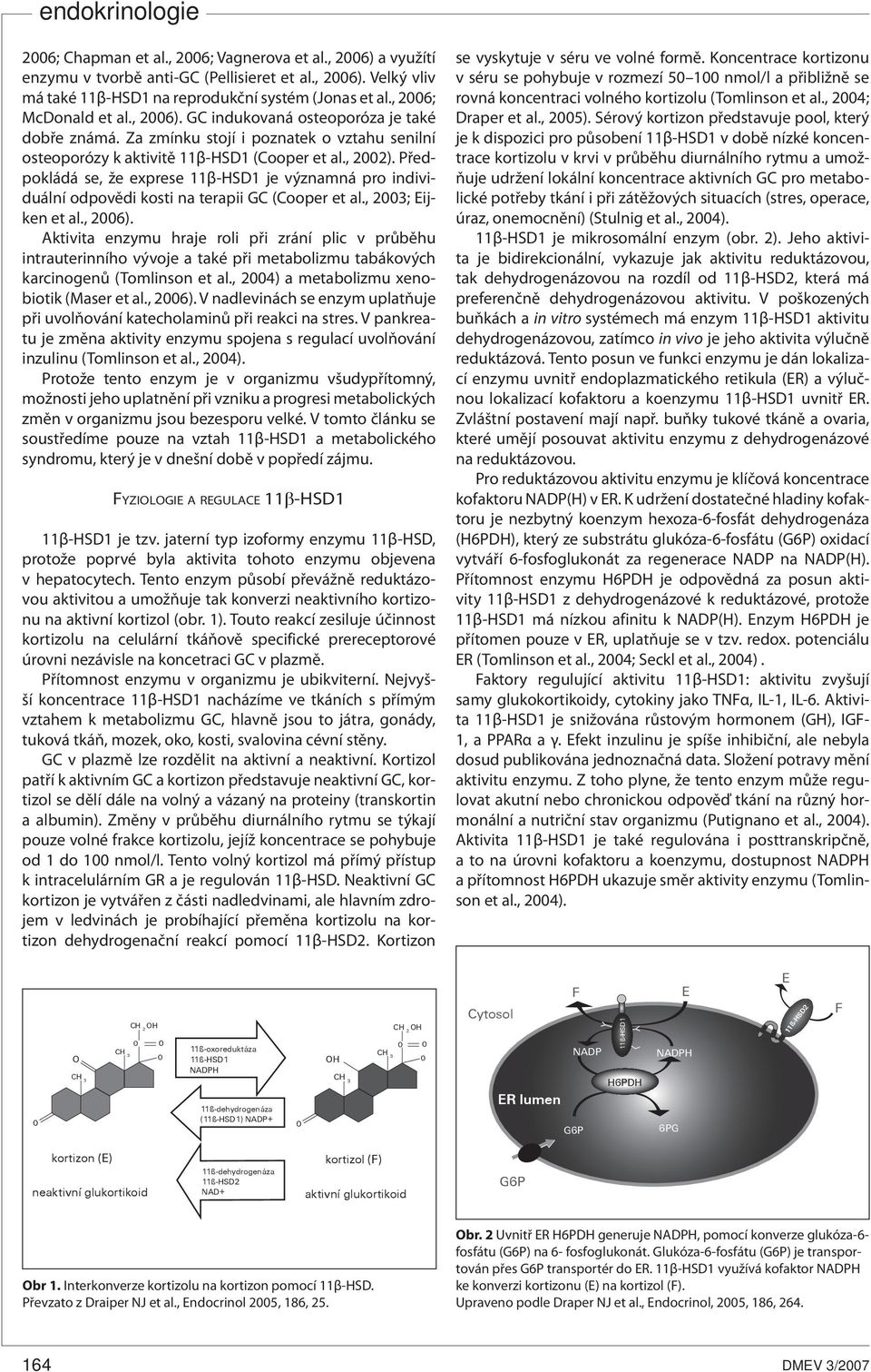 Předpokládá se, že exprese 11β-HSD1 je významná pro individuální odpovědi kosti na terapii GC (Cooper et al., 2003; Eijken et al., 2006).