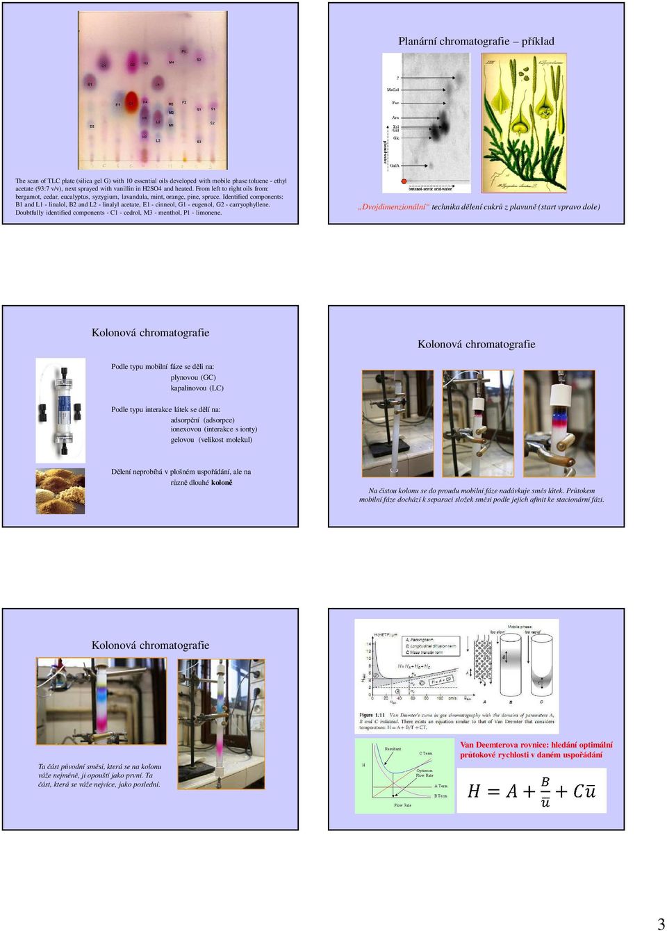 Identified components: B1 and L1 - linalol, B2 and L2 - linalyl acetate, E1 - cinneol, G1 - eugenol, G2 - carryophyllene. Doubtfully identified components - C1 - cedrol, M3 - menthol, P1 - limonene.