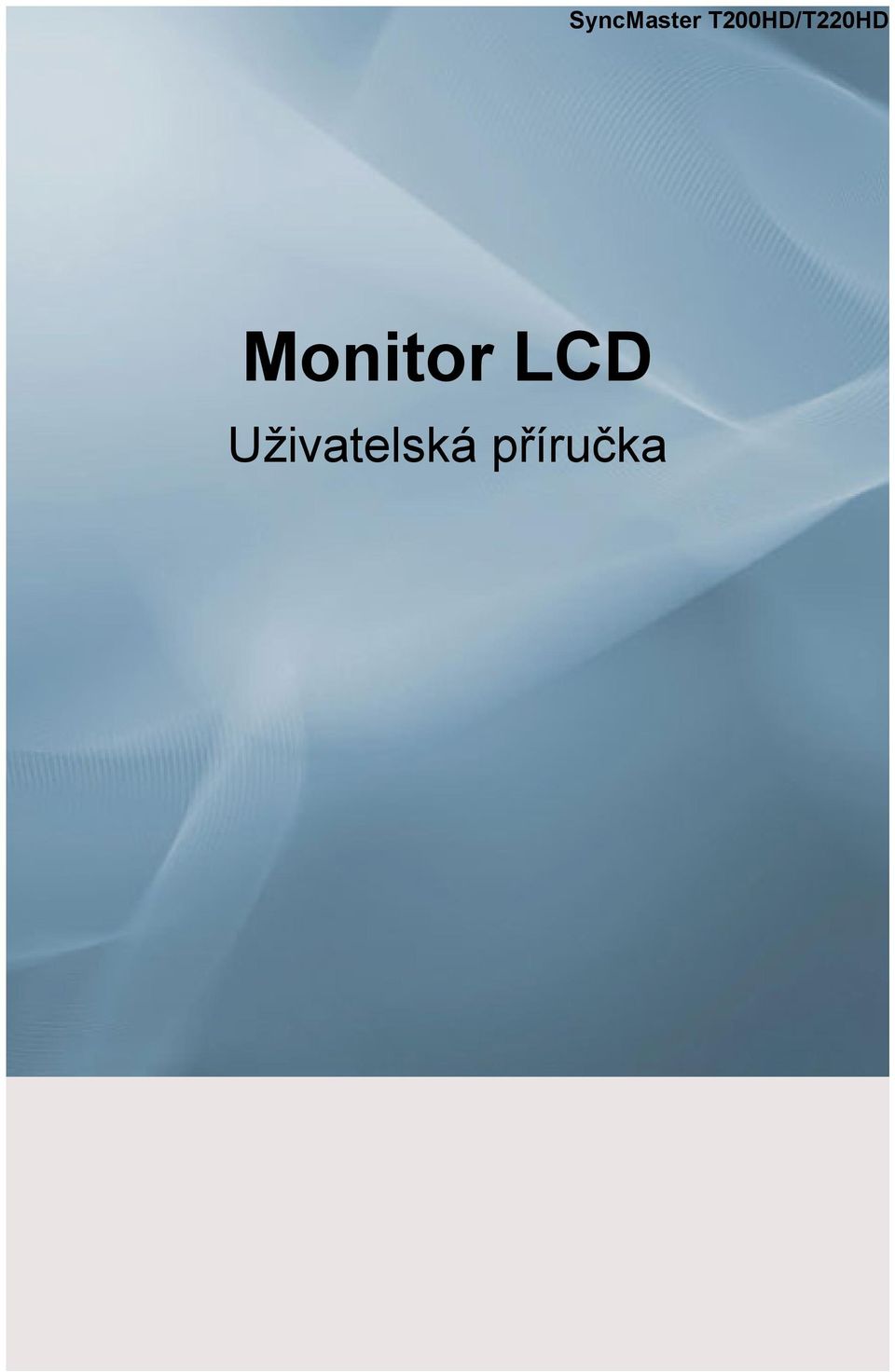 Monitor LCD