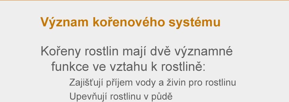 vztahu k rostlině: Zajišťují příjem