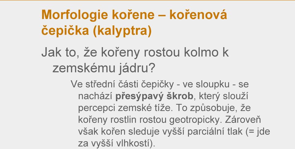 Ve střední části čepičky - ve sloupku - se nachází přesýpavý škrob, který slouží