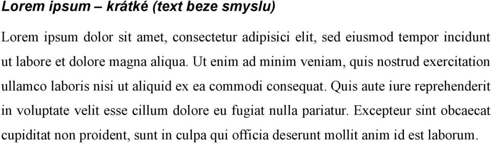 Ut enim ad minim veniam, quis nostrud exercitation ullamco laboris nisi ut aliquid ex ea commodi consequat.