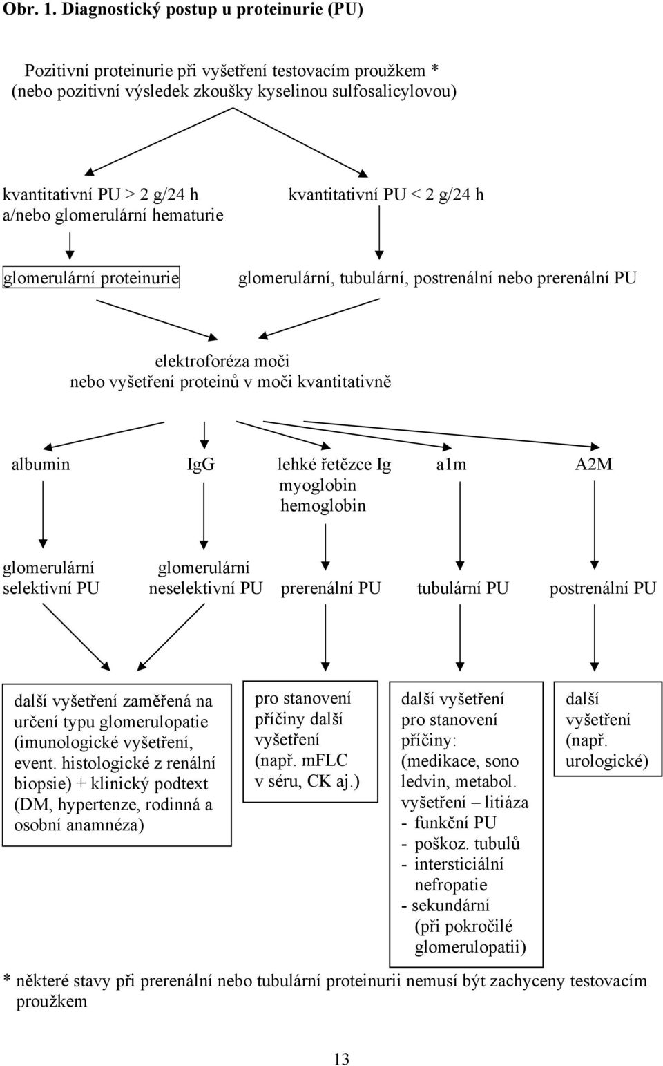 glomerulární hematurie kvantitativní PU < 2 g/24 h glomerulární proteinurie glomerulární, tubulární, postrenální nebo prerenální PU elektroforéza moči nebo vyšetření proteinů v moči kvantitativně