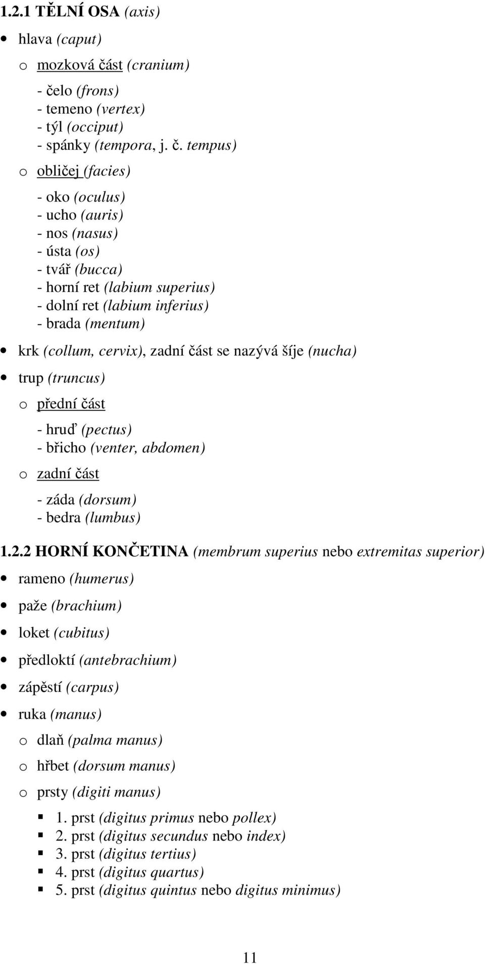 lo (frons) - temeno (vertex) - týl (occiput) - spánky (tempora, j. č.