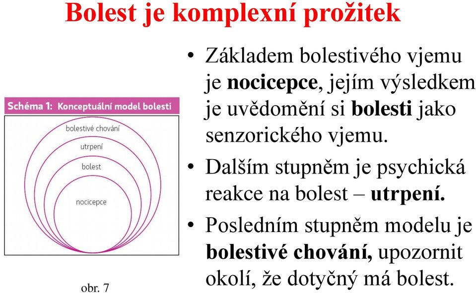 uvědomění si bolesti jako senzorického vjemu.