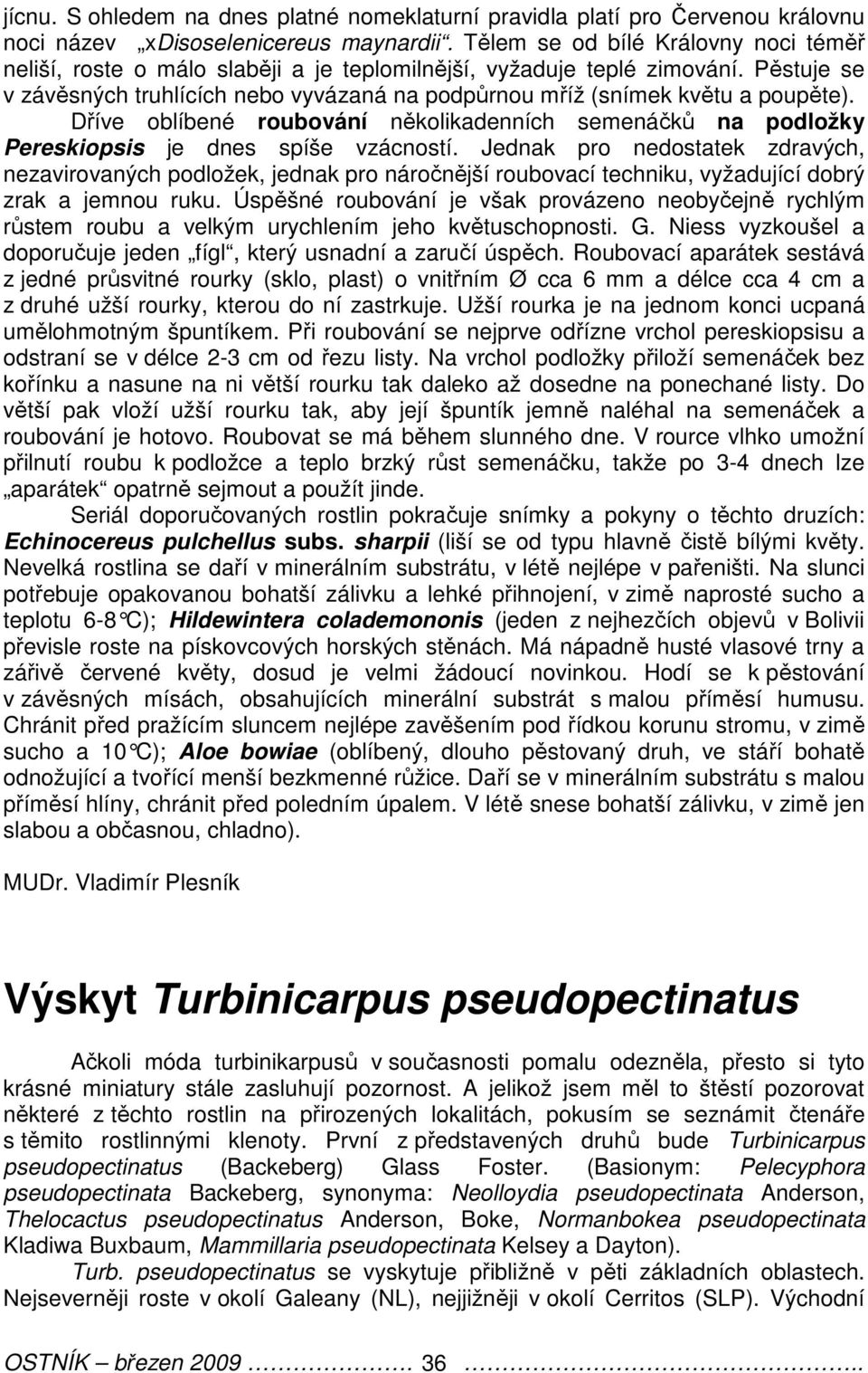 Pěstuje se v závěsných truhlících nebo vyvázaná na podpůrnou mříž (snímek květu a poupěte). Dříve oblíbené roubování několikadenních semenáčků na podložky Pereskiopsis je dnes spíše vzácností.