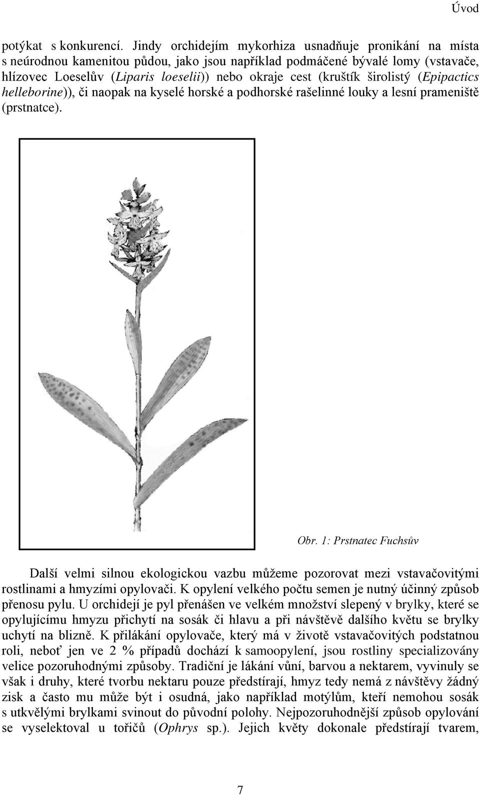 (kruštík širolistý (Epipactics helleborine)), či naopak na kyselé horské a podhorské rašelinné louky a lesní prameniště (prstnatce). Obr.