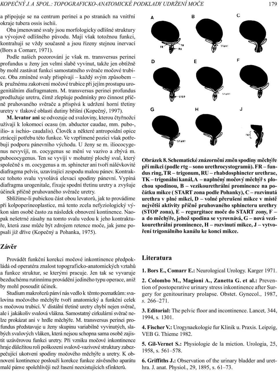 Podle našich pozorování je však m. transversus perinei profundus u ženy jen velmi slabì vyvinut, takže jen obtížnì by mohl zastávat funkci samostatného svìraèe moèové trubice.