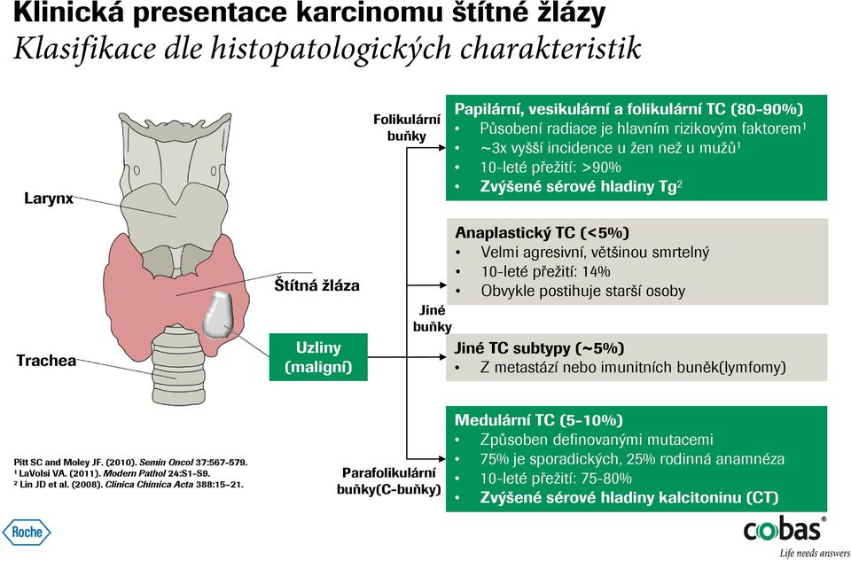 smrtelný 10-leté přežití: 14% Obvykle postihuje starší osoby Jiné buňky Jiné TC subtypy (~5%) Z metastází nebo imunitních buněk(lymfomy) Pitt SC and Moley JF. (2010). Semin Oncol 37:567-579.