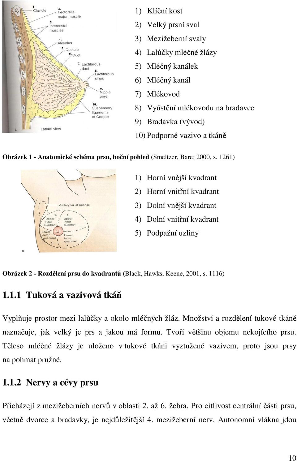 1261) 1) Horní vnější kvadrant 2) Horní vnitřní kvadrant 3) Dolní vnější kvadrant 4) Dolní vnitřní kvadrant 5) Podpažní uzliny Obrázek 2 - Rozdělení prsu do kvadrantů (Black, Hawks, Keene, 2001, s.
