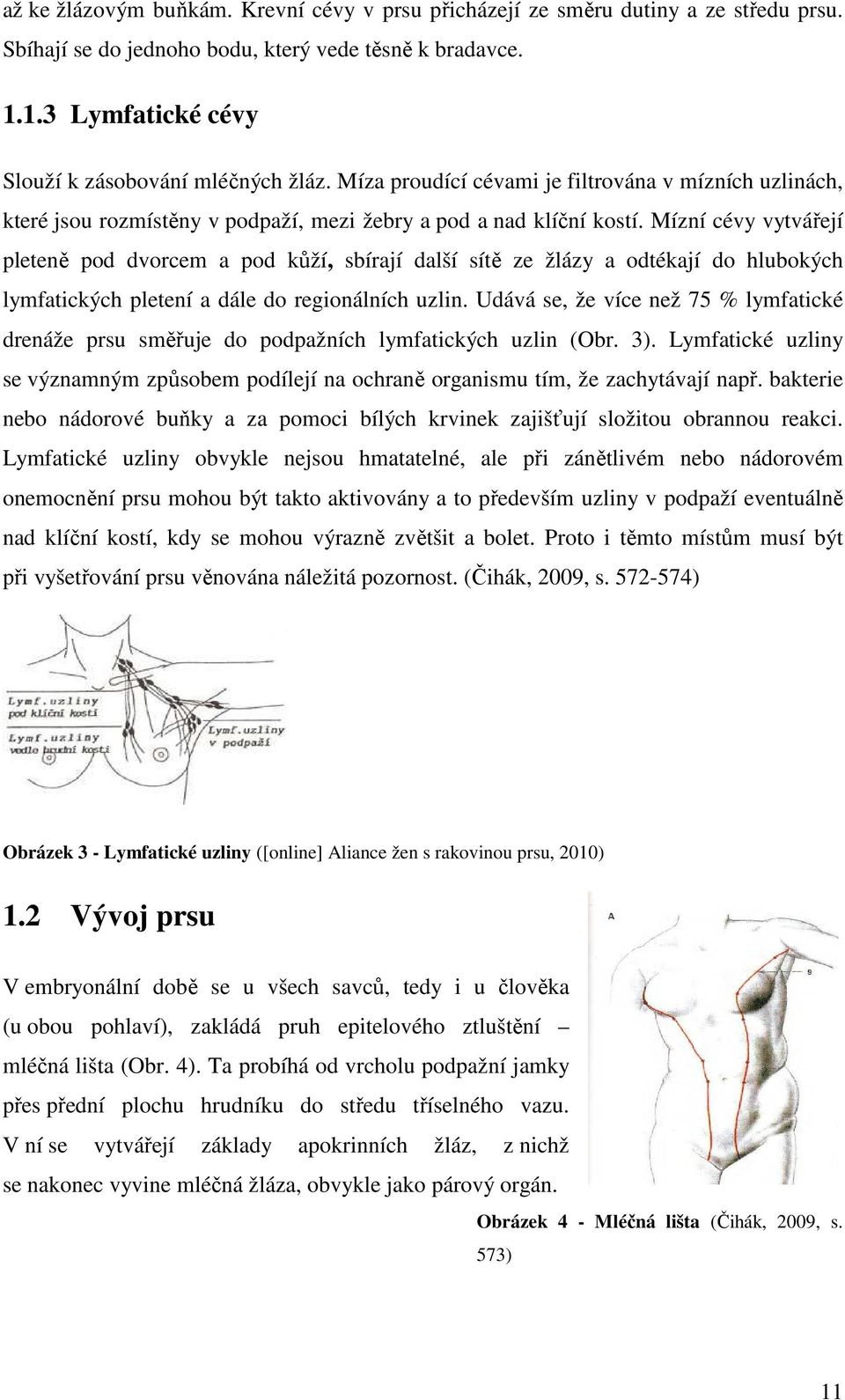 Mízní cévy vytvářejí pleteně pod dvorcem a pod kůží, sbírají další sítě ze žlázy a odtékají do hlubokých lymfatických pletení a dále do regionálních uzlin.