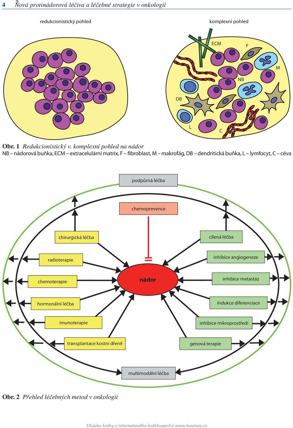 chemoprevence chirurgická léčba cílená léčba radioterapie inhibice angiogeneze chemoterapie nádor inhibice metastáz hormonální léčba indukce diferenciace