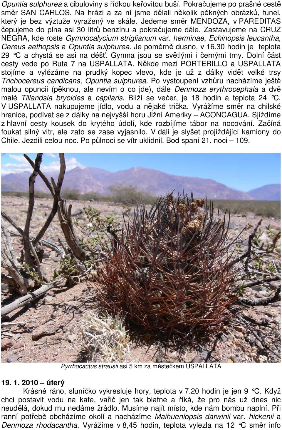 Zastavujeme na CRUZ NEGRA, kde roste Gymnocalycium striglianum var. herminae, Echinopsis leucantha, Cereus aethopsis a Opuntia sulphurea. Je poměrně dusno, v 16.