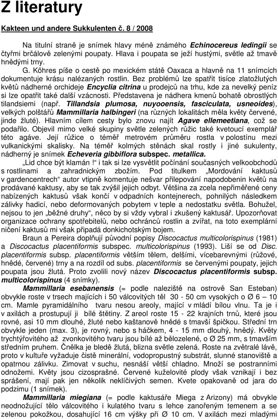 Bez problémů lze spatřit tisíce zlatožlutých květů nádherné orchideje Encyclia citrina u prodejců na trhu, kde za nevelký peníz si lze opatřit také další vzácnosti.