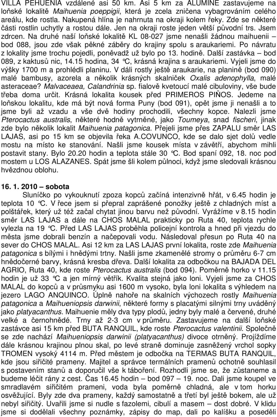 Na druhé naší loňské lokalitě KL 08-027 jsme nenašli žádnou maihuenii bod 088, jsou zde však pěkné záběry do krajiny spolu s araukariemi.