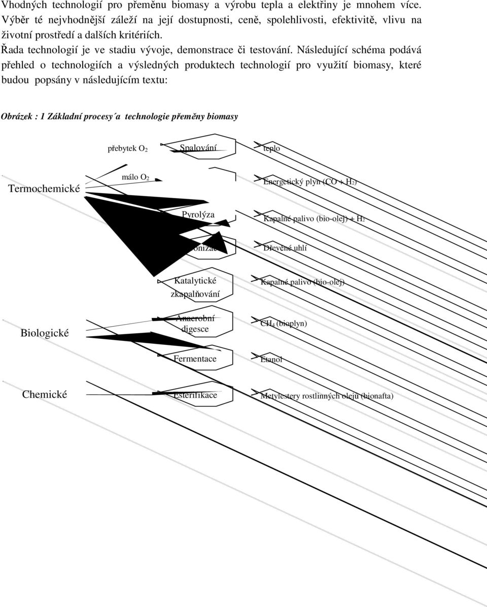 Následující schéma podává přehled o technologiích a výsledných produktech technologií pro využití biomasy, které budou popsány v následujícím textu: Obrázek : 1 Základní procesy a technologie přeměny