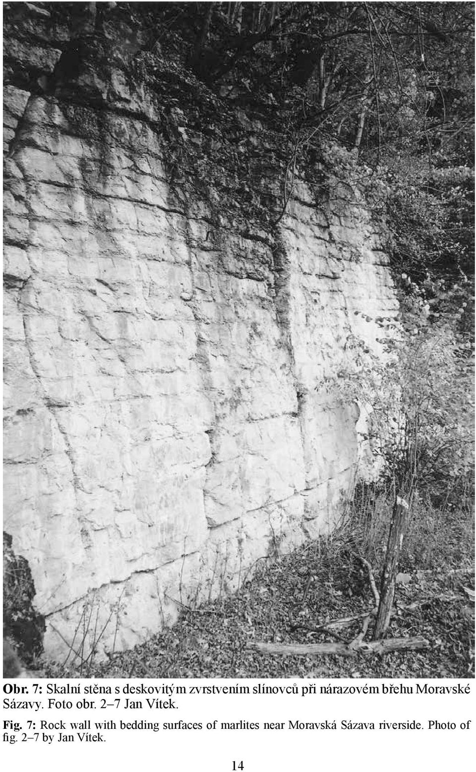 Fig. 7: Rock wall with bedding surfaces of marlites near