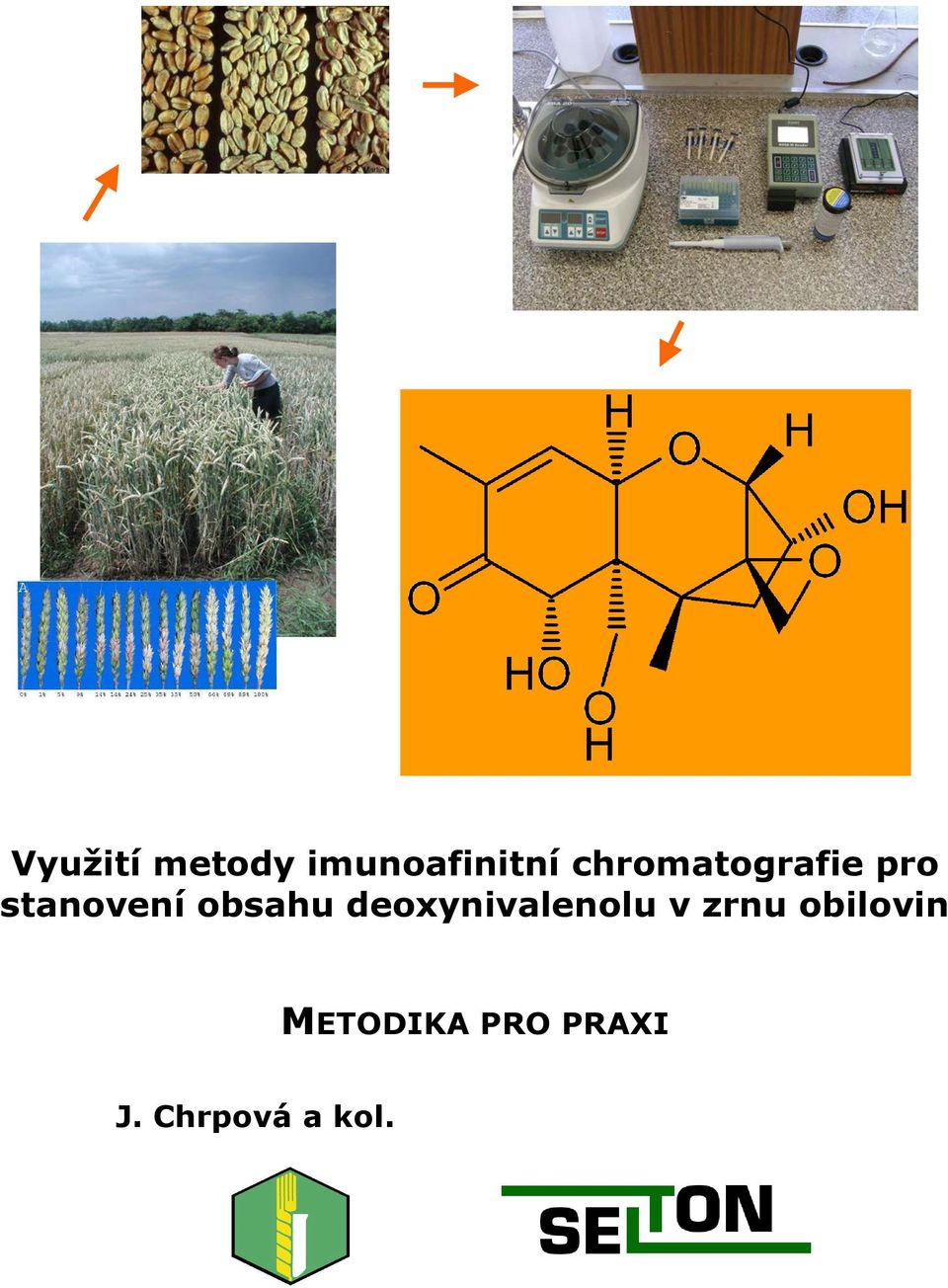 obsahu deoxynivalenolu v zrnu