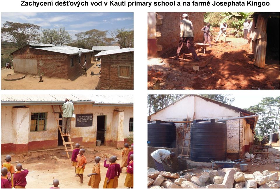 Kauti primary