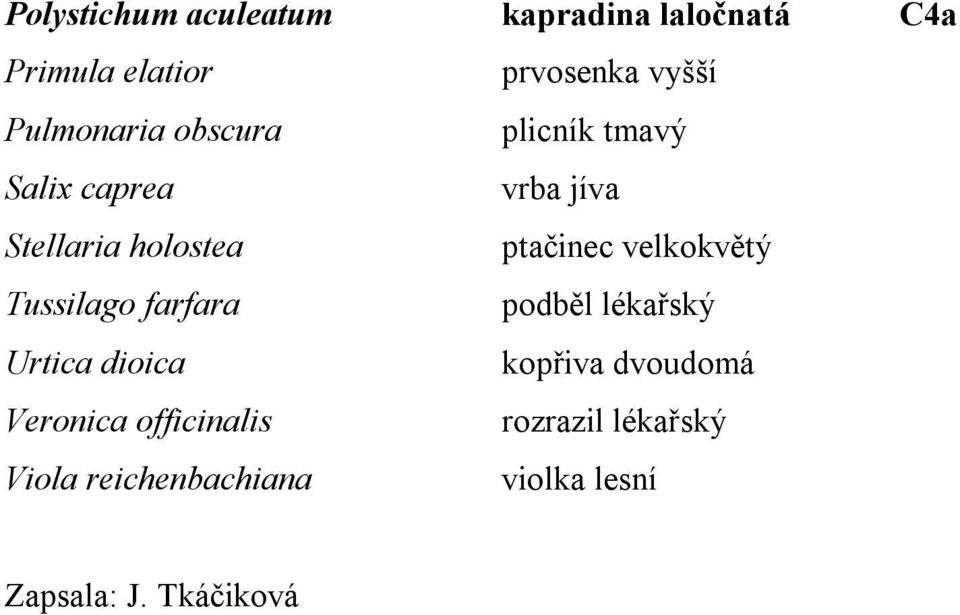 velkokvětý Tussilago farfara podběl lékařský Urtica dioica kopřiva dvoudomá