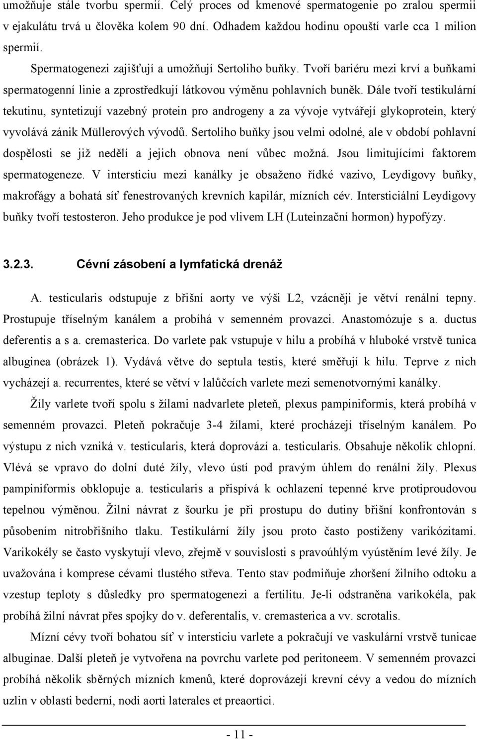 Dále tvoří testikulární tekutinu, syntetizují vazebný protein pro androgeny a za vývoje vytvářejí glykoprotein, který vyvolává zánik Müllerových vývodů.