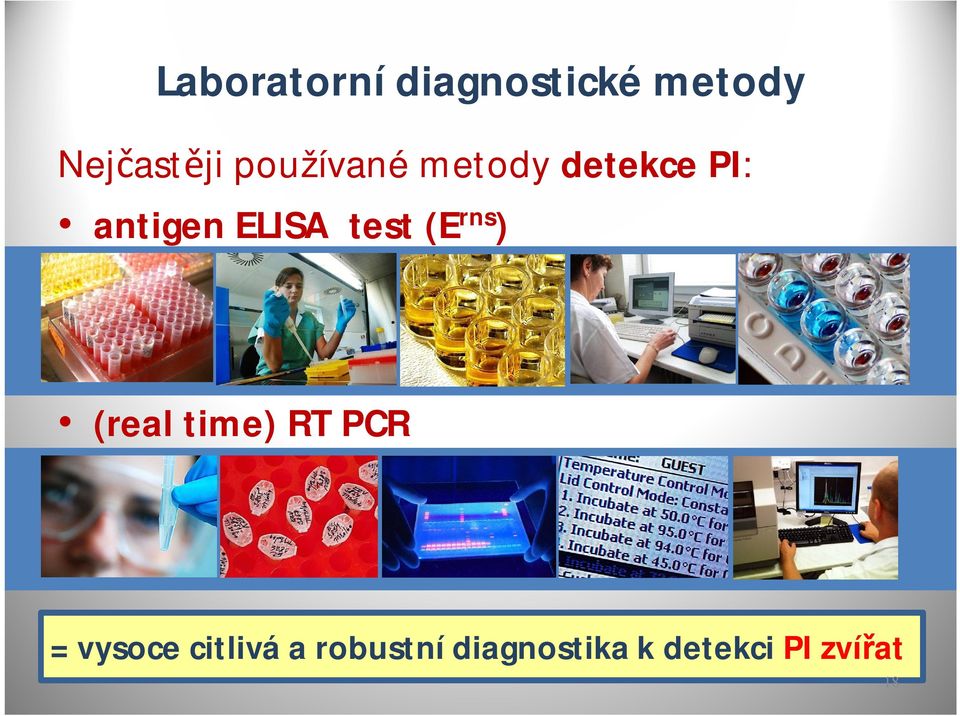 test (E rns ) (real time) RT PCR = vysoce