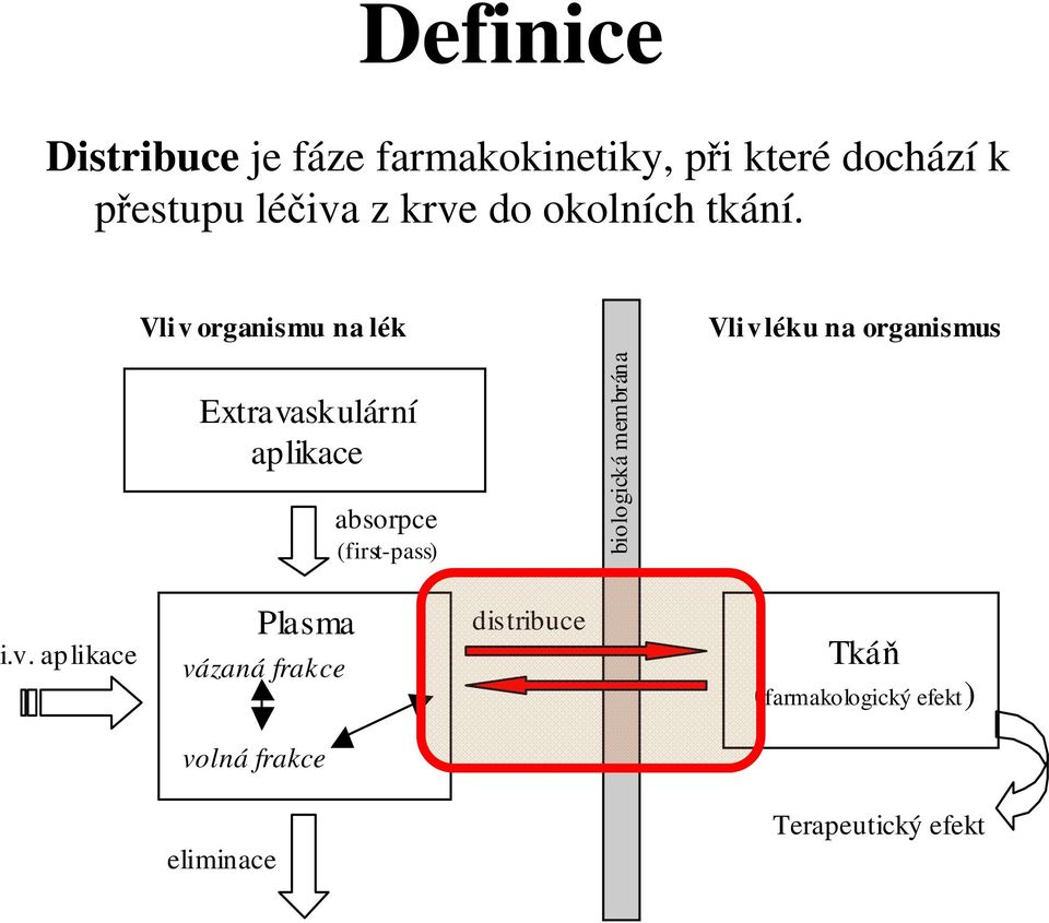 Vliv organismu na lék Vliv léku na organismus Extravaskulární aplikace absorpce