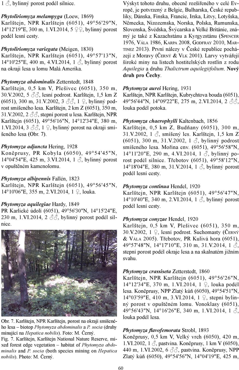 Phytomyza abdominalis Zetterstedt, 1848 Karlštejn, 0,5 km V, Plešivec (6051), 350 m, 30.V.2002, 5, lesní podrost. Karlštejn, 1,5 km Z (6051), 300 m, 31.V.2002, 3, 1, bylinný podrost smíšeného lesa.