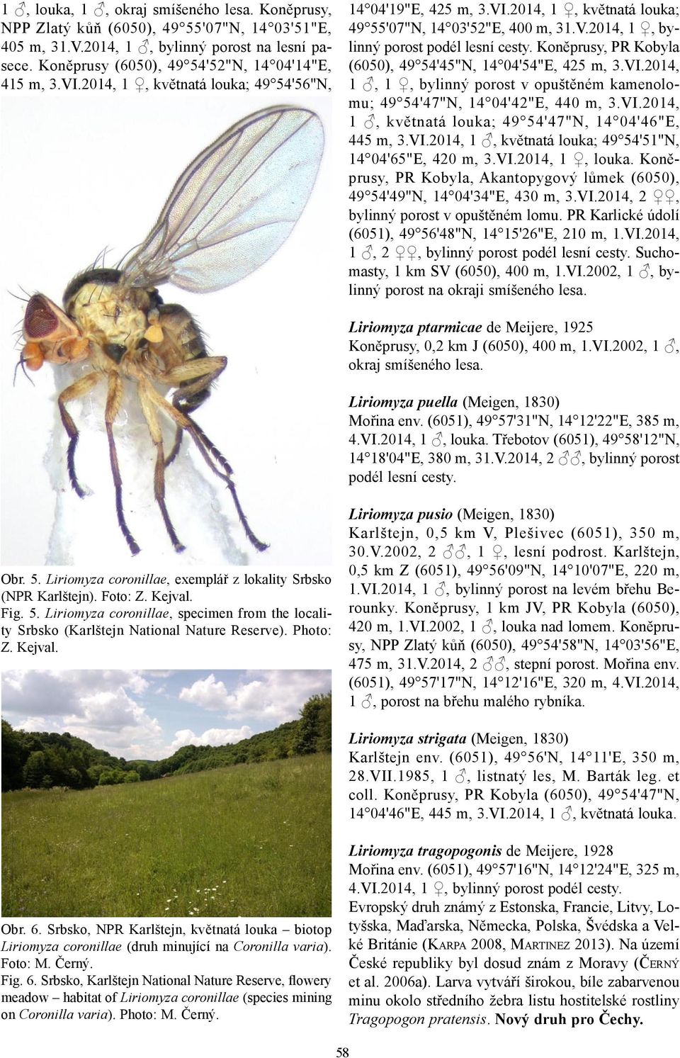 Koněprusy, PR Kobyla (6050), 49 54'45"N, 14 04'54"E, 425 m, 3.VI.2014, 1, 1, bylinný porost v opuštěném kamenolomu; 49 54'47"N, 14 04'42"E, 440 m, 3.VI.2014, 1, květnatá louka; 49 54'47"N, 14 04'46"E, 445 m, 3.