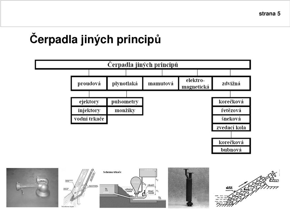 princip