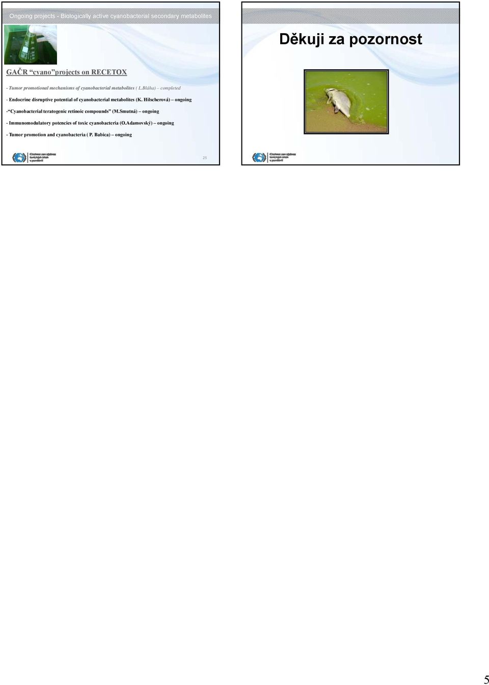 Bláha) completed - Endocrine disruptive potential of cyanobacterial metabolites (K.