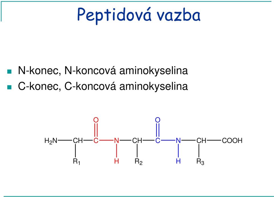 C-koncová aminokyselina O O H 2