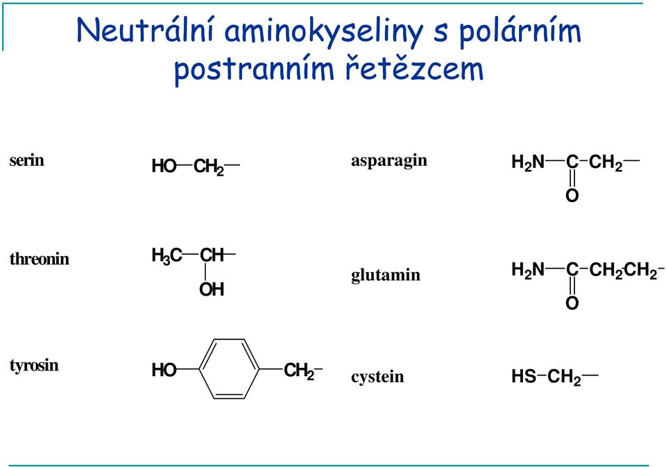 H 2 N C CH 2 O threonin H 3 C CH OH