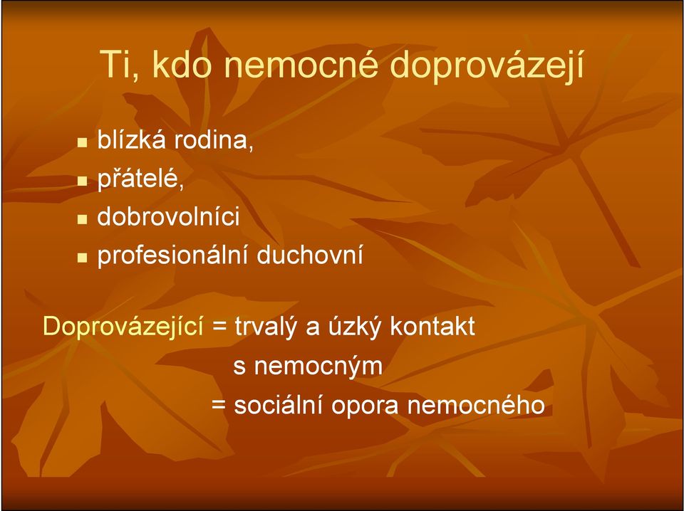 profesionální duchovní Doprovázející =