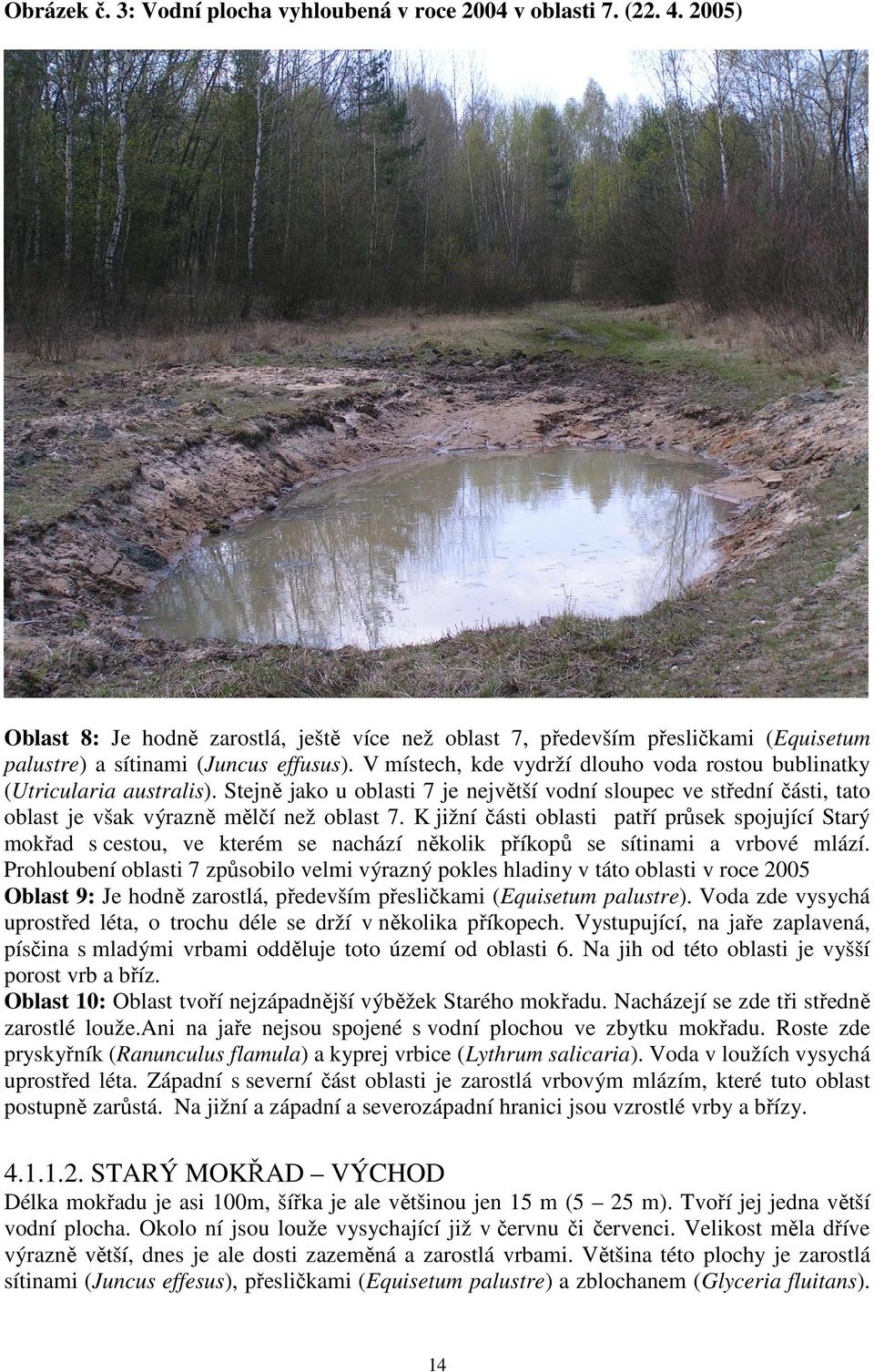 V místech, kde vydrží dlouho voda rostou bublinatky (Utricularia australis). Stejně jako u oblasti 7 je největší vodní sloupec ve střední části, tato oblast je však výrazně mělčí než oblast 7.