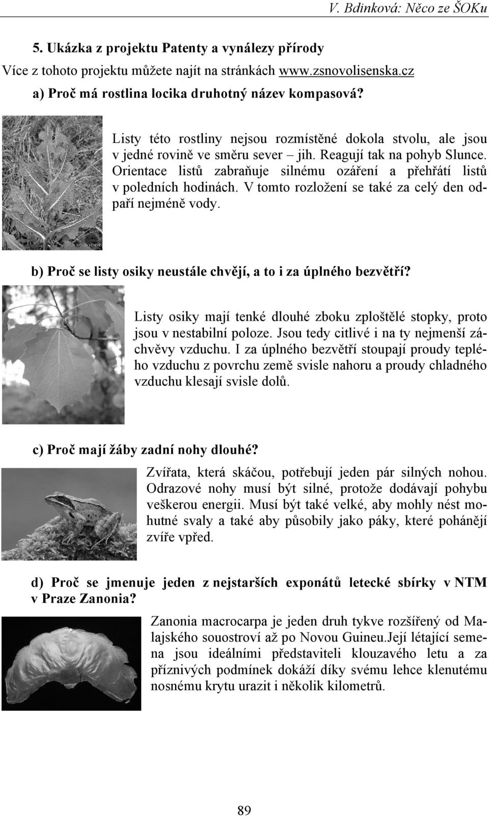 Orientace listů zabraňuje silnému ozáření a přehřátí listů v poledních hodinách. V tomto rozložení se také za celý den odpaří nejméně vody.