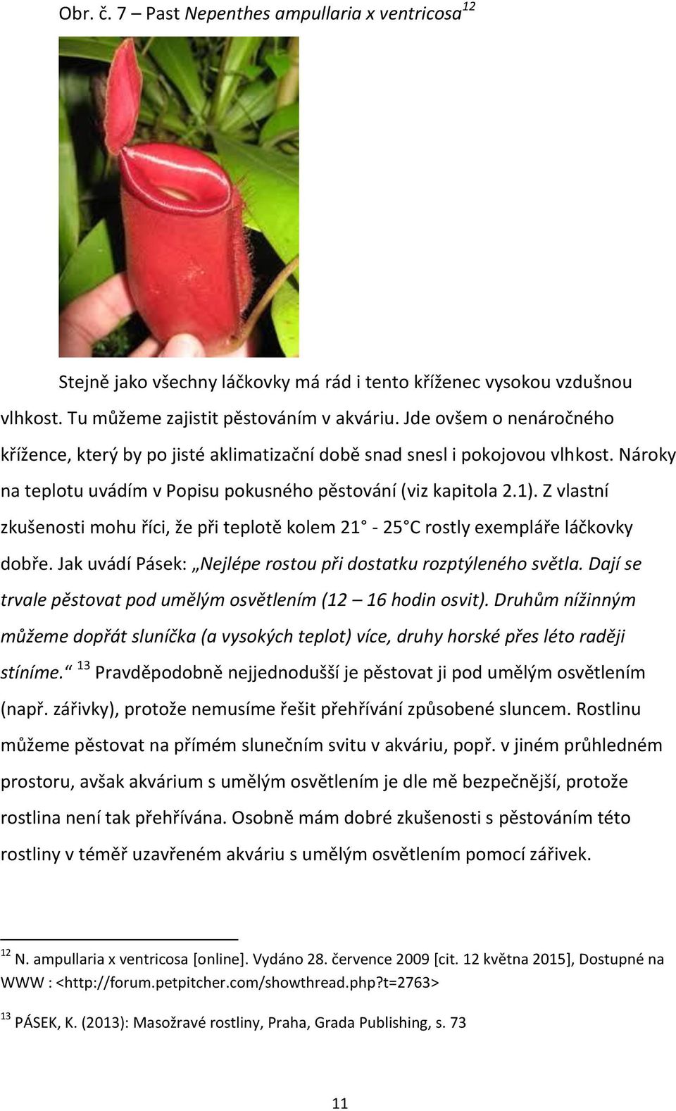 Z vlastní zkušenosti mohu říci, že při teplotě kolem 21-25 C rostly exempláře láčkovky dobře. Jak uvádí Pásek: Nejlépe rostou při dostatku rozptýleného světla.