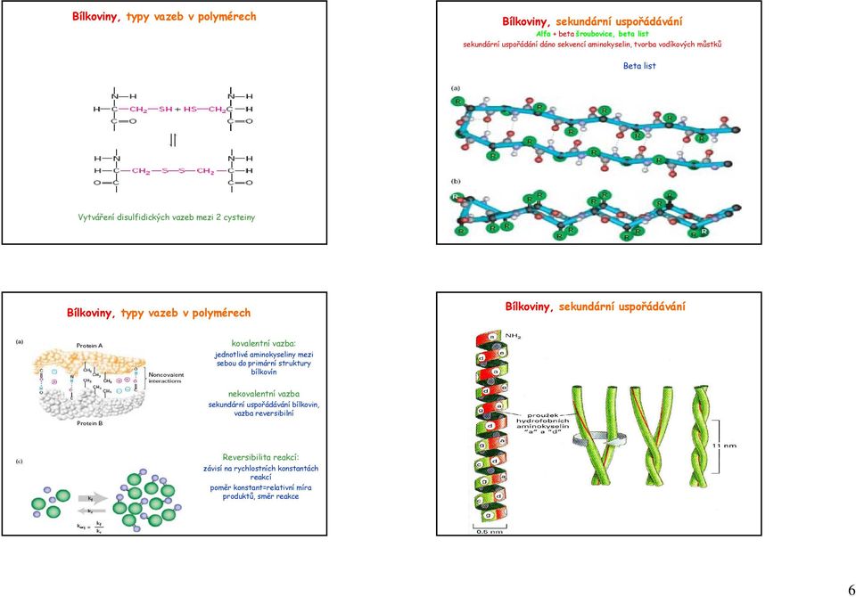sekundární uspořádávání kovalentní vazba: jednotlivé aminokyseliny mezi sebou do primární struktury bílkovín nekovalentní vazba sekundární