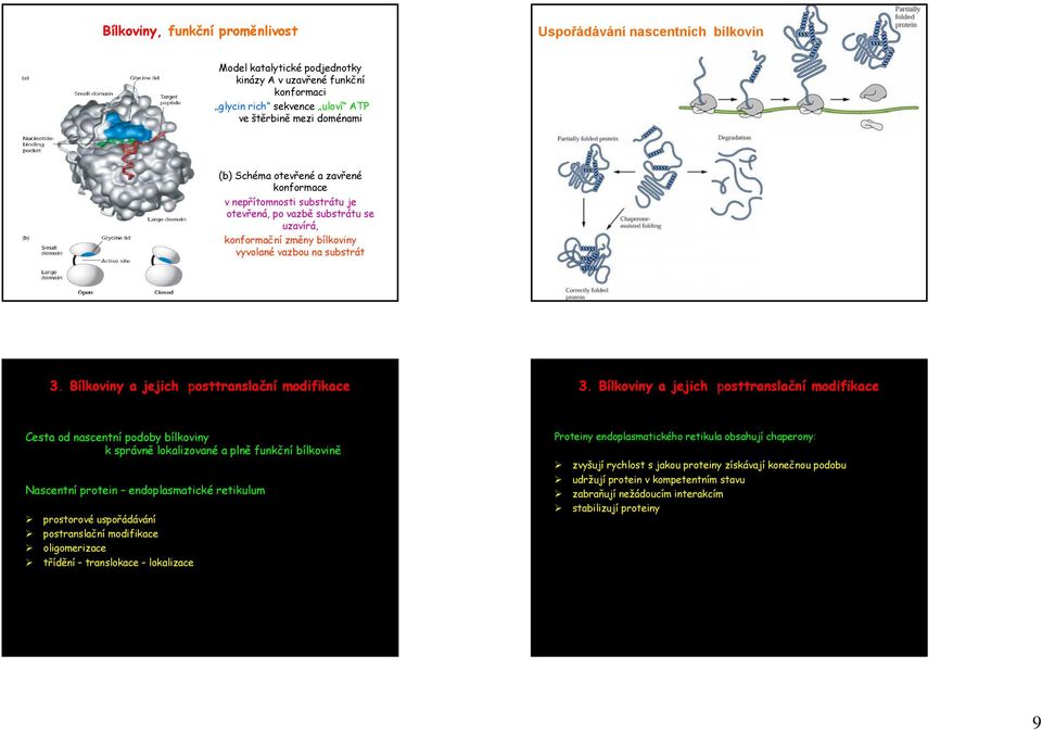 Bílkoviny a jejich posttranslační modifikace 3.