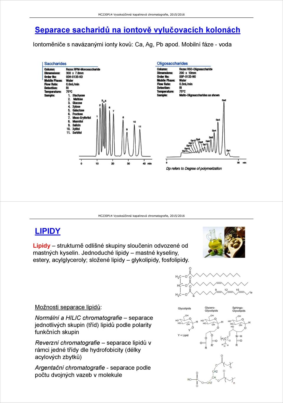 Jednoduché lipidy mastné kyseliny, estery, acylglyceroly; složené lipidy glykolipidy, fosfolipidy.