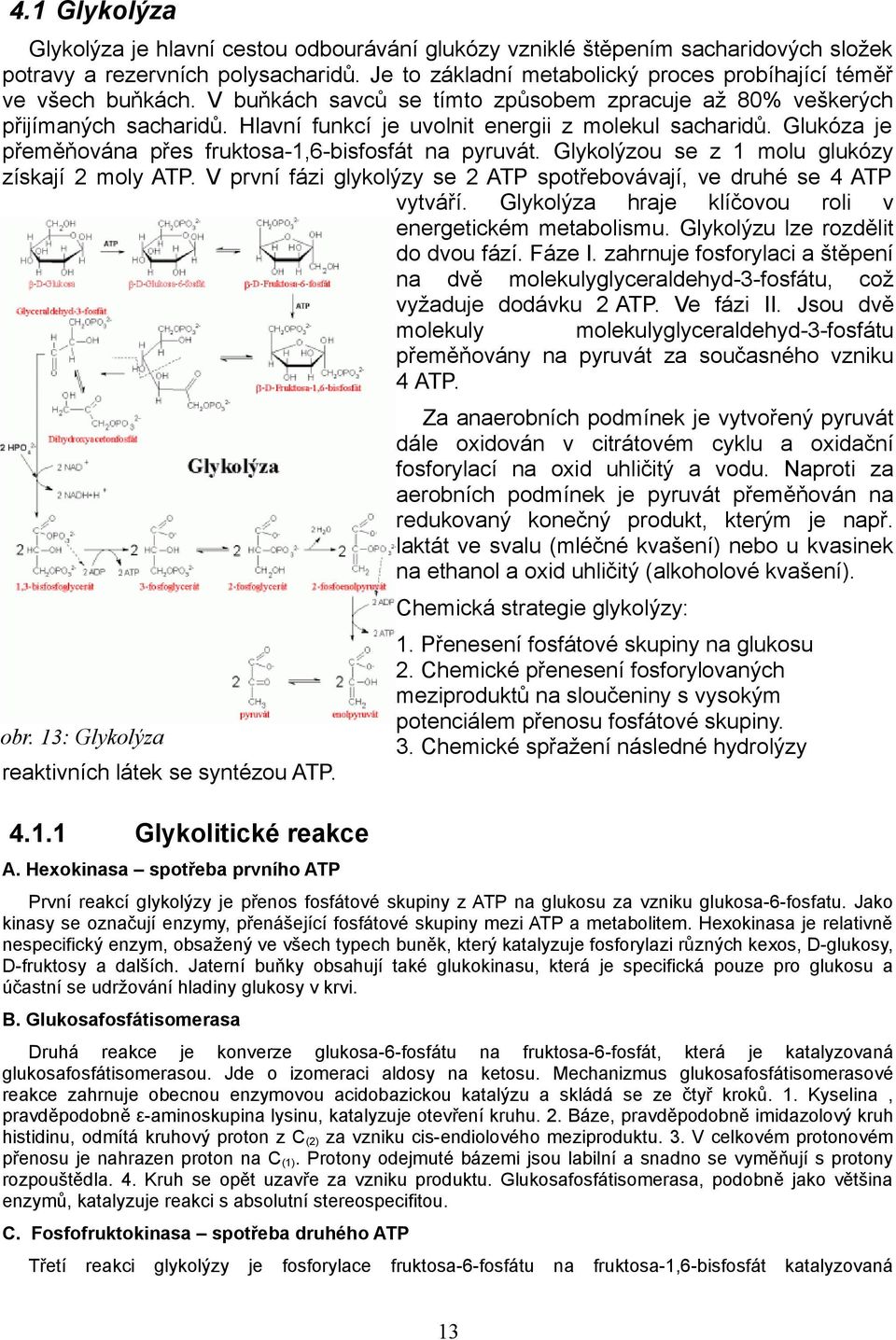 Hlavní funkcí je uvolnit energii z molekul sacharidů. Glukóza je přeměňována přes fruktosa-1,6-bisfosfát na pyruvát. Glykolýzou se z 1 molu glukózy získají 2 moly ATP.