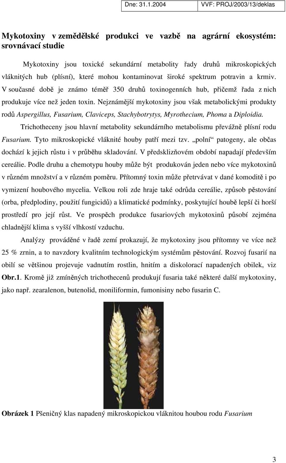 Nejznámější mykotoxiny jsou však metabolickými produkty rodů Aspergillus, Fusarium, Claviceps, Stachybotrytys, Myrothecium, Phoma a Diploidia.