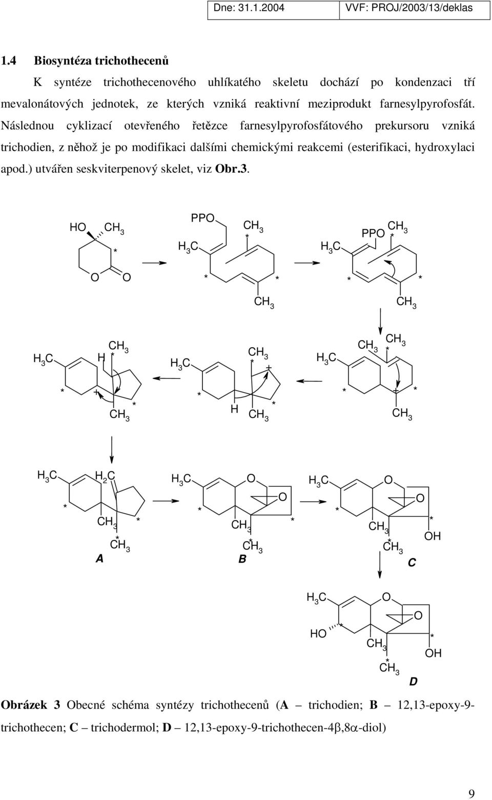 ) utvářen seskviterpenový skelet, viz Obr.3.
