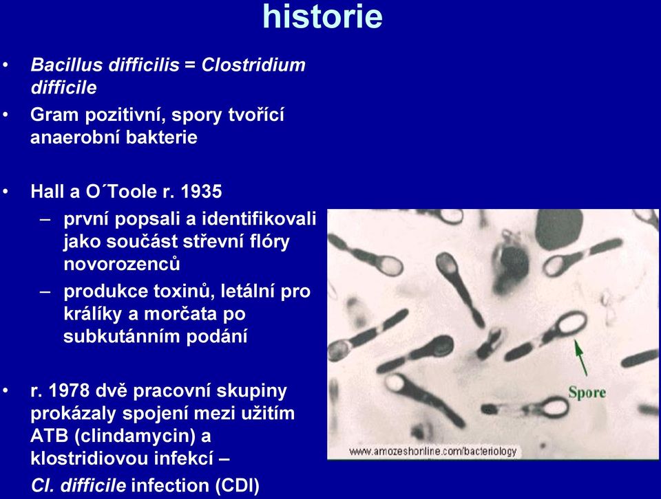 1935 první popsali a identifikovali jako součást střevní flóry novorozenců produkce toxinů,