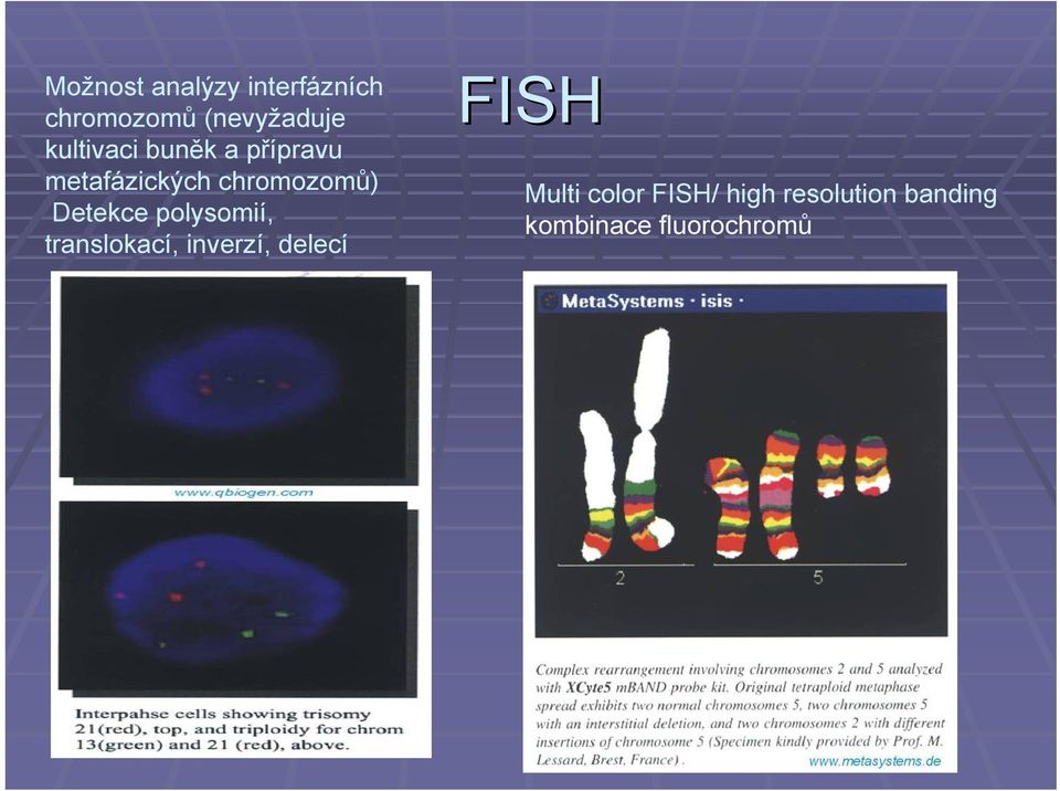 Detekce polysomií, translokací, inverzí, delecí FISH