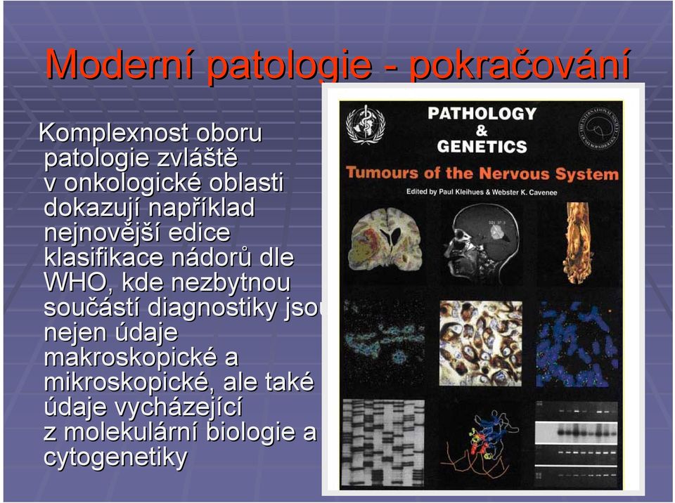 dle WHO, kde nezbytnou součást stí diagnostiky jsou nejen údaje makroskopické a