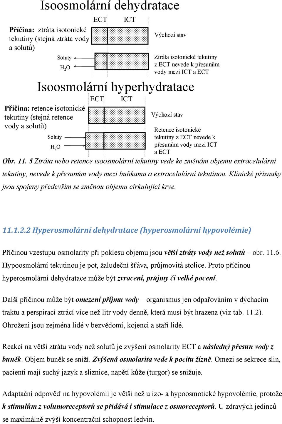 ECT Obr. 11. 5 Ztráta nebo retence isoosmolární tekutiny vede ke změnám objemu extracelulární tekutiny, nevede k přesunům vody mezi buňkamu a extracelulární tekutinou.