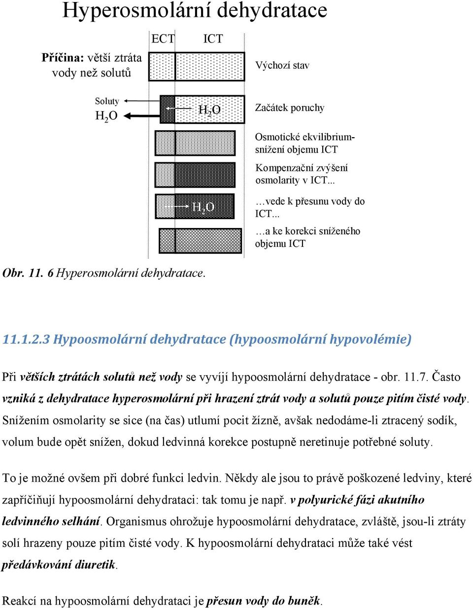 3 Hypoosmolární dehydratace (hypoosmolární hypovolémie) Při větších ztrátách solutů než vody se vyvíjí hypoosmolární dehydratace - obr. 11.7.