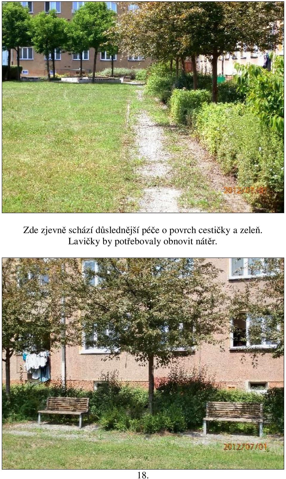 cestičky a zeleň.