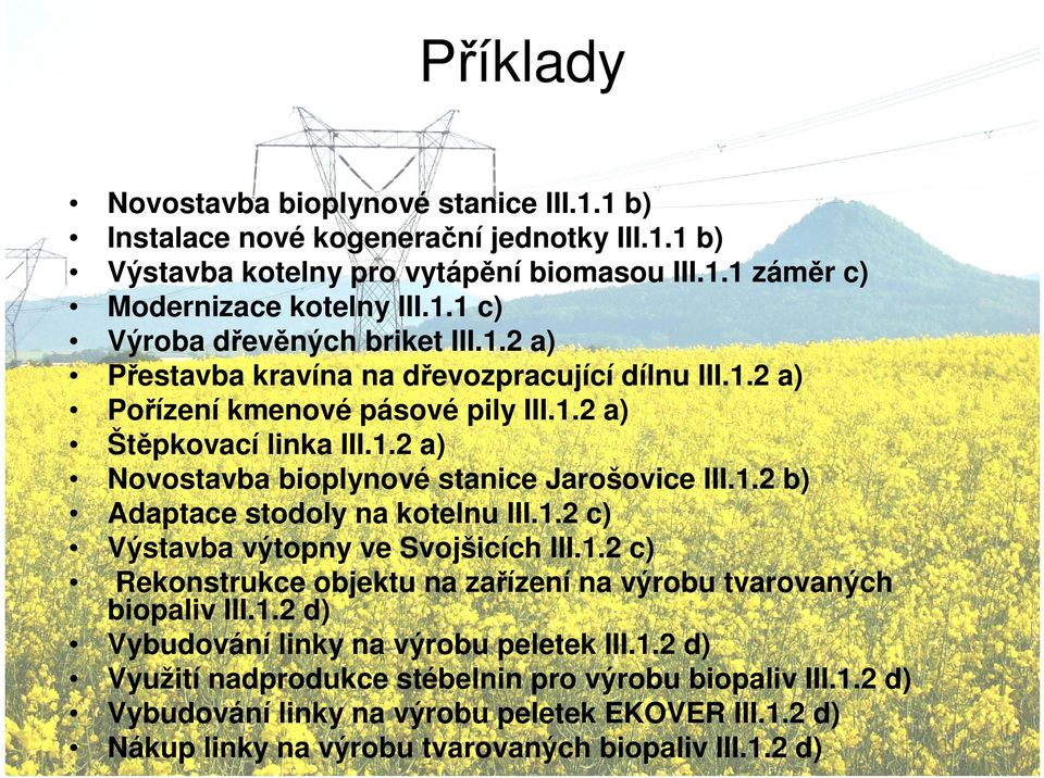 1.2 c) Výstavba výtopny ve Svojšicích III.1.2 c) Rekonstrukce objektu na zařízení na výrobu tvarovaných biopaliv III.1.2 d) Vybudování linky na výrobu peletek III.1.2 d) Využití nadprodukce stébelnin pro výrobu biopaliv III.